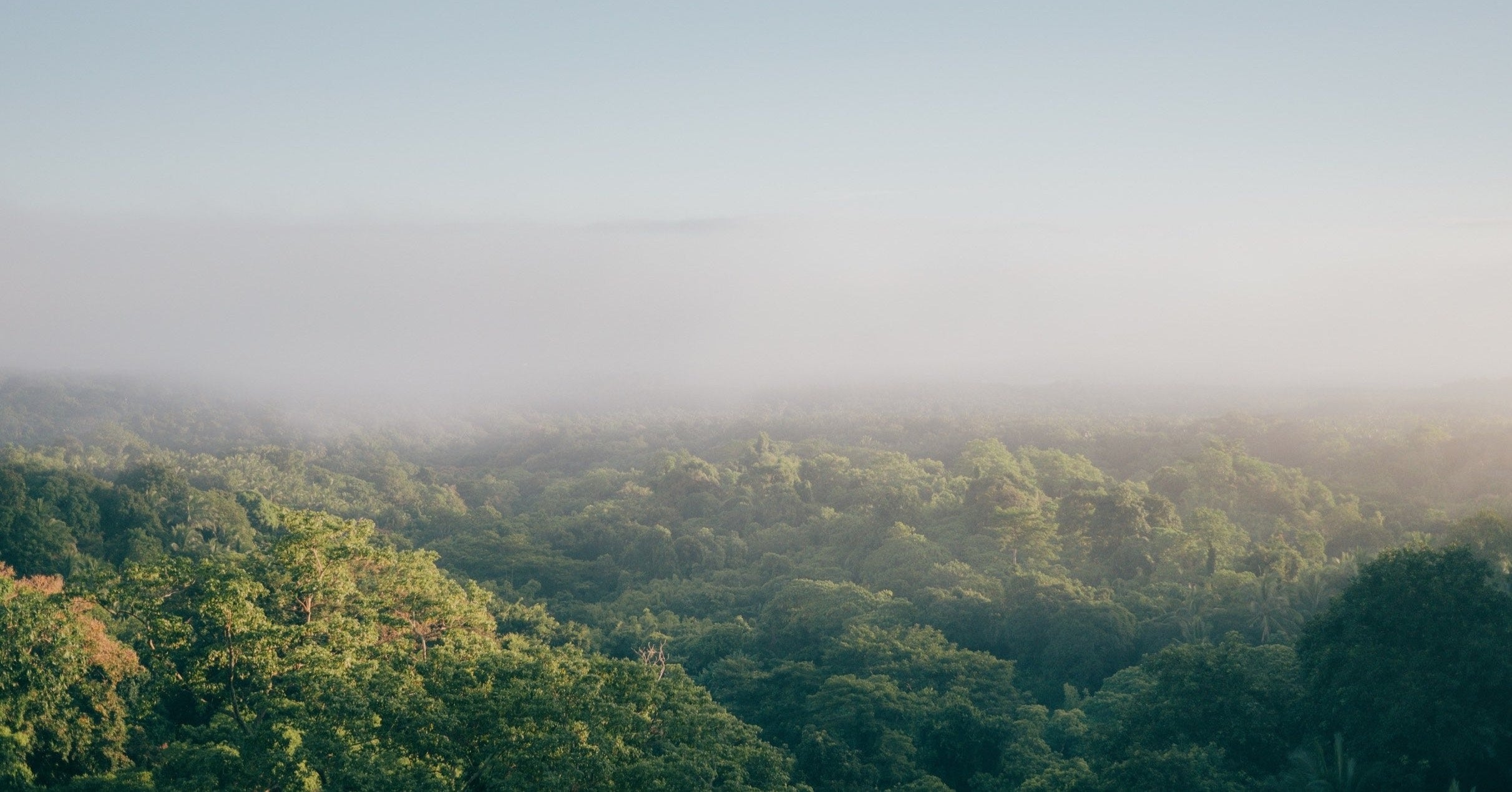 Wisdom Brands Sustainability